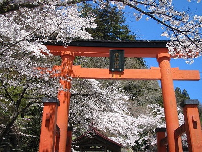 金櫻神社