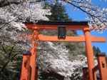 金桜神社