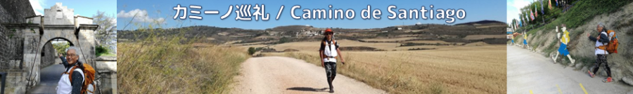 20265月8日出発【聖地巡礼の旅】カミーノ100km踏破とマリアの軌跡ファティマ 16日間