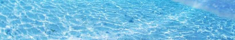 カミーノ巡礼＆ファティマ　御祈願お祈りドーネーション